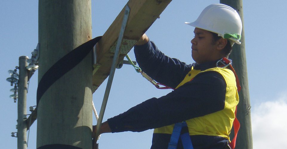 NECA training - ASP and Smart Meter courses-Statutory Training