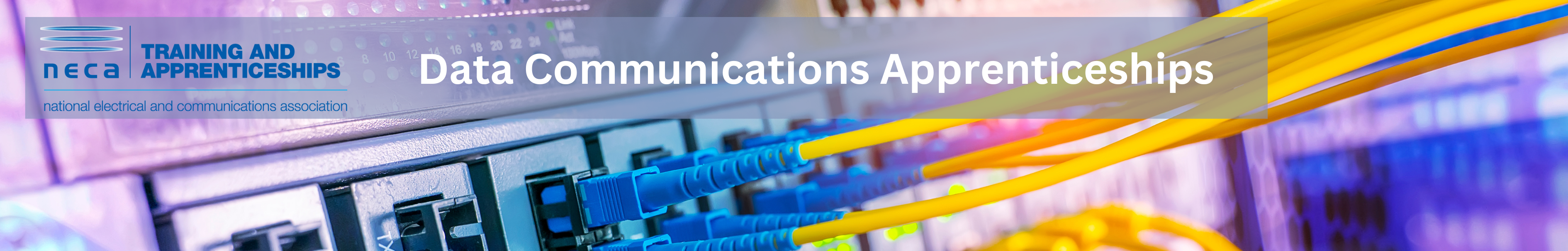 Data Communications Apprenticeships